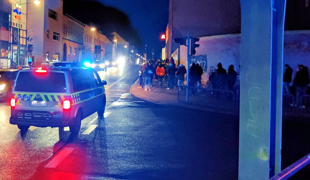 Die Polizei sicherte den unangemeldeten Demonstrationszug. Offiziell, so bestätigte ein Teilnehmer, gingen die Menschen auf die Straße, um spazieren zu gehen. Zu Zwischenfällen oder einem Polizeieingriff kam es nicht.