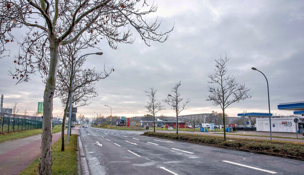 Die Mannheimer Straße zwischen Junkers- und Weststraße