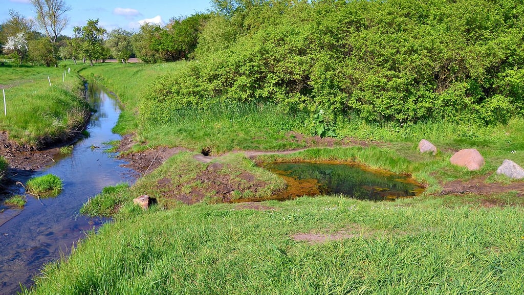 Für den Landschaftspflegeverband „Grüne Umwelt“ stellt Sascha Ritter die Umsetzung der Wasserrahmenrichtlinien an der Sülze vor. Unser Bild zeigt die Salzquelle bei Sülldorf.