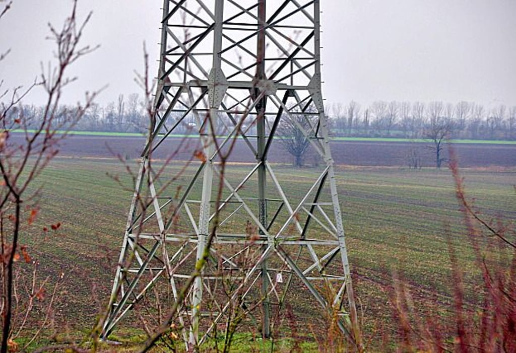 Blick auf einen Strommast am Feld am Eulenberg in Magdeburg.