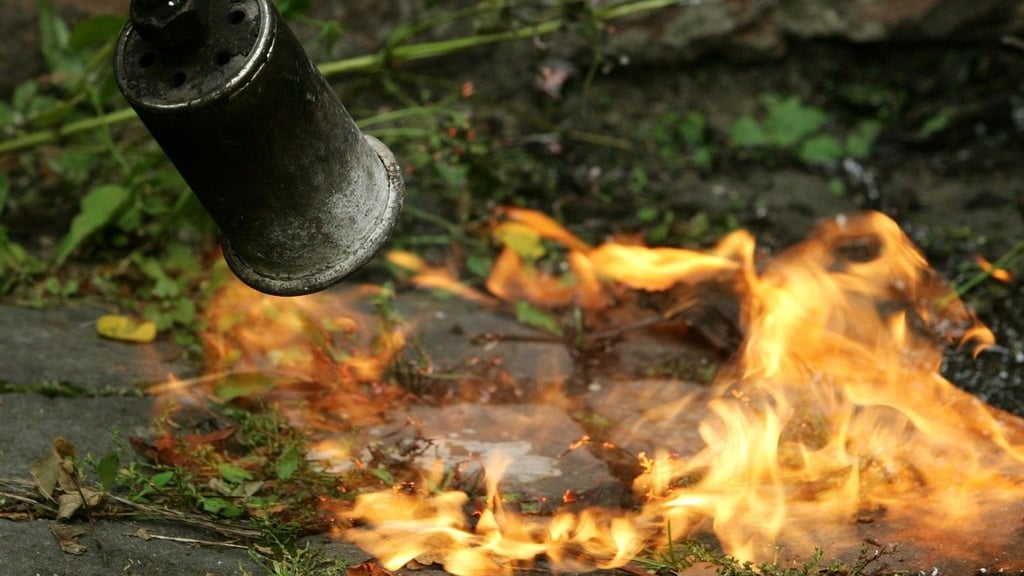 Nach der Mäusejagd musste die Feuerwehr anrücken, um den Brand in Lauta zu löschen.