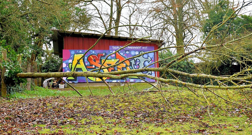 Der Stamm ist vom Nachbarareal auf die Wiese gefallen. Ein größerer Schaden entstand nicht, lediglich der Maschendrahtzaun wurde verbogen.