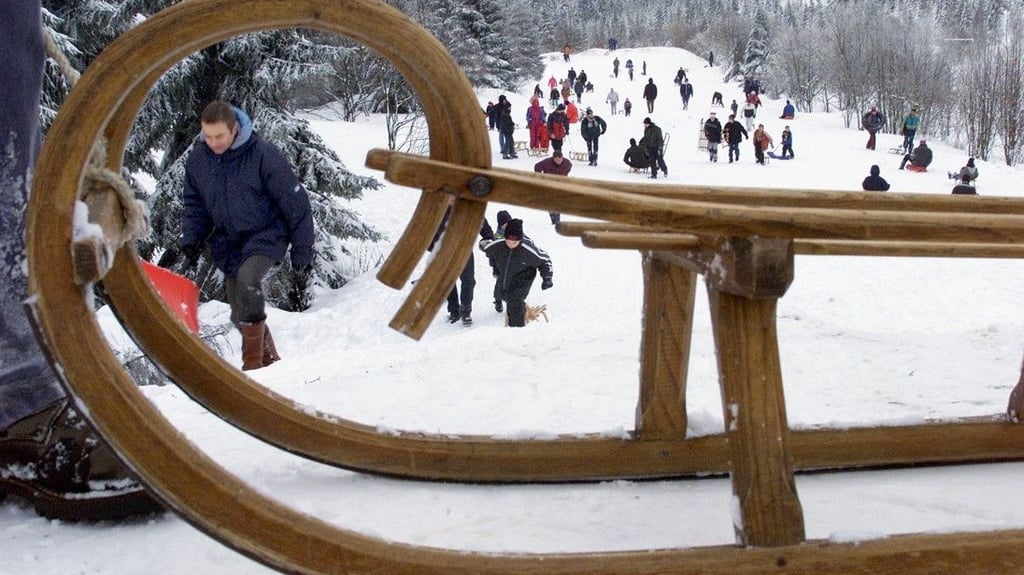 Auf einem Berg in Torfhaus (Landkreis Goslar) haben Kinder und Erwachsene bei optimalen Schneeverhältnissen viel Freude am Schlittenfahren.