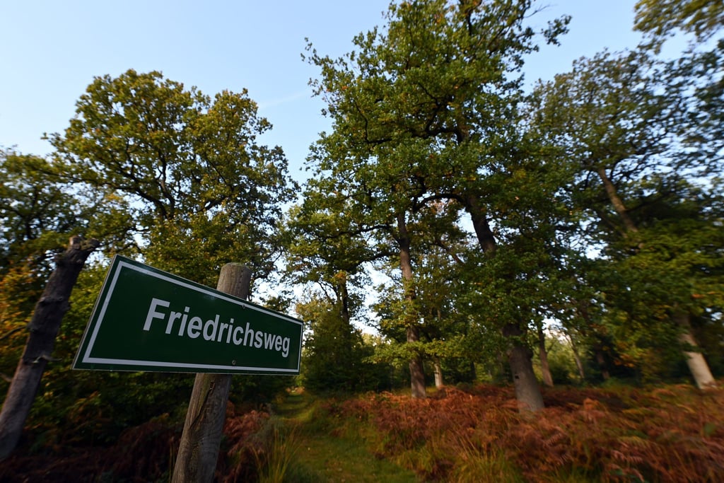 Im Friedwald gibt es keine Toiletten und die Wege sind oft unbefestigt. Infrastrukturell bietet der konventionelle Friedhof vor allem für ältere Menschen Vorteile.