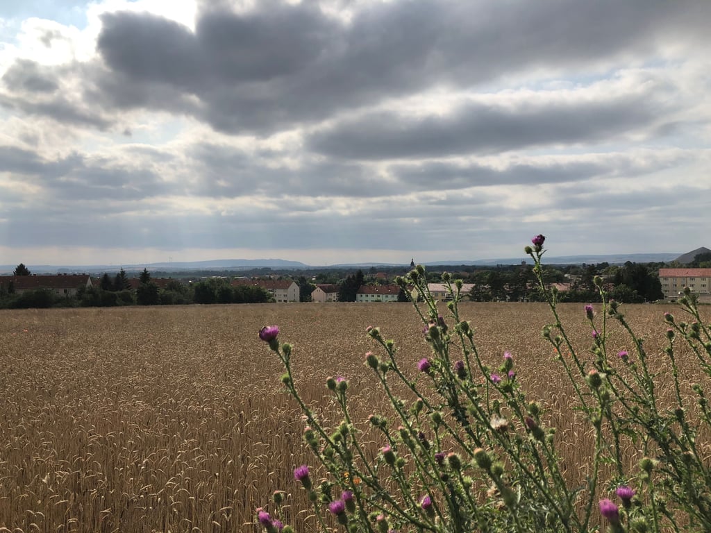 Blick auf die AWG-Siedlung in Allstedt.