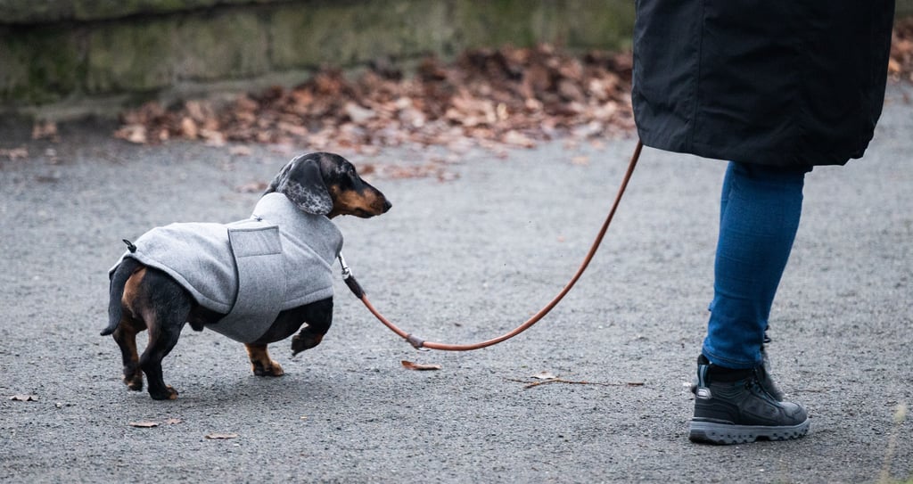 Gassigänger nutzen den Weg gerne.
