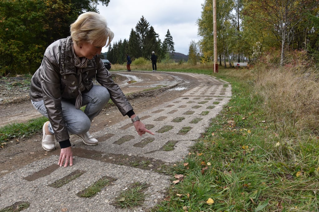 Die Harzer Volksstimme berichtete am 03.11.2021 über die Schäden am Kolonnenweg in der Grenzlandschaft bei Sorge.
