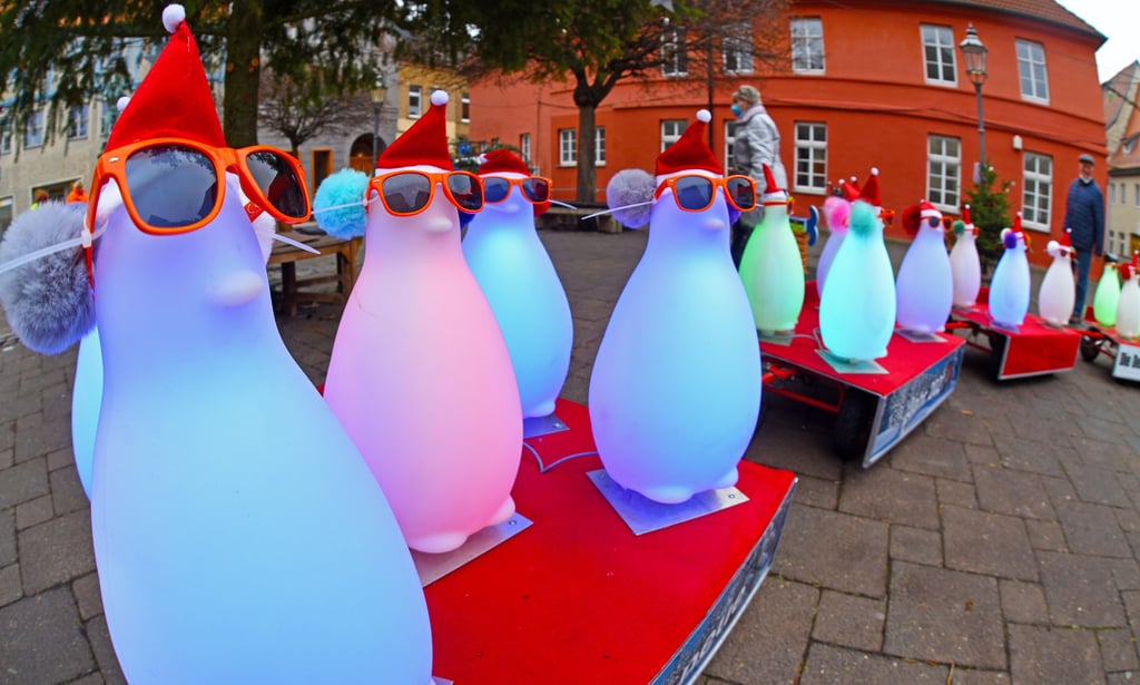 Die Pinguine sind zurück in Aschersleben