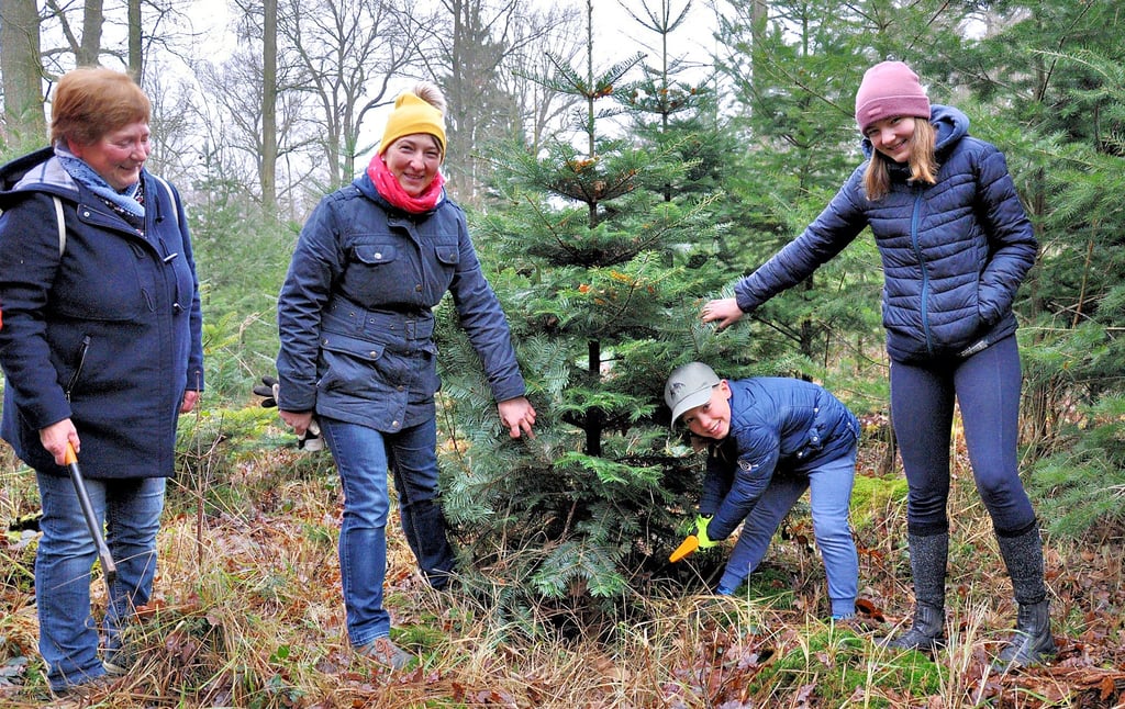 Johannes, Anne und Theresa Krebs mit Oma Renate Tillack beim Weihnachtsbaumschlagen im Wald