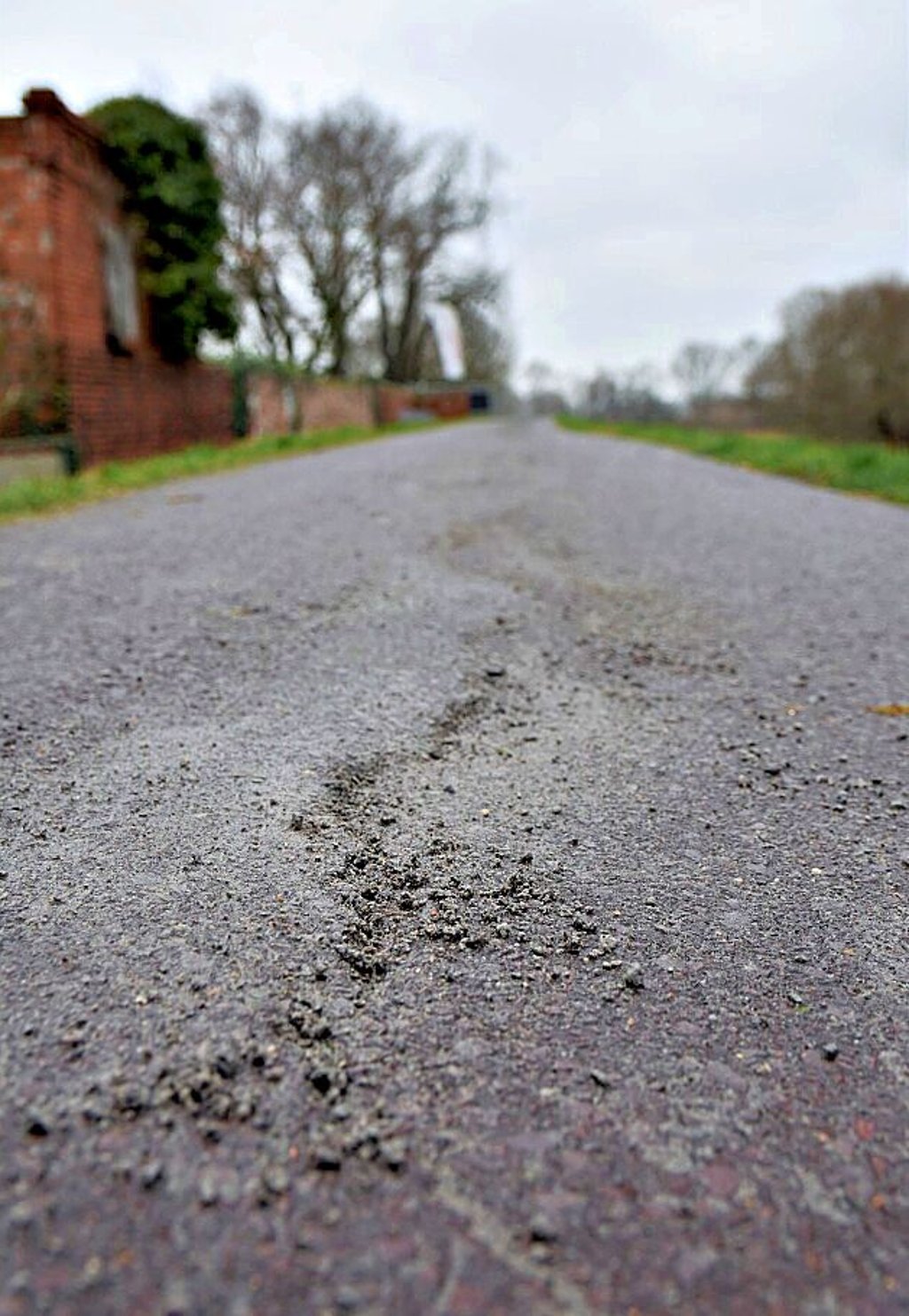 Die Risse im Elberadweg in Magdeburg werden regelmäßig vom Tiefbauamt geflickt.