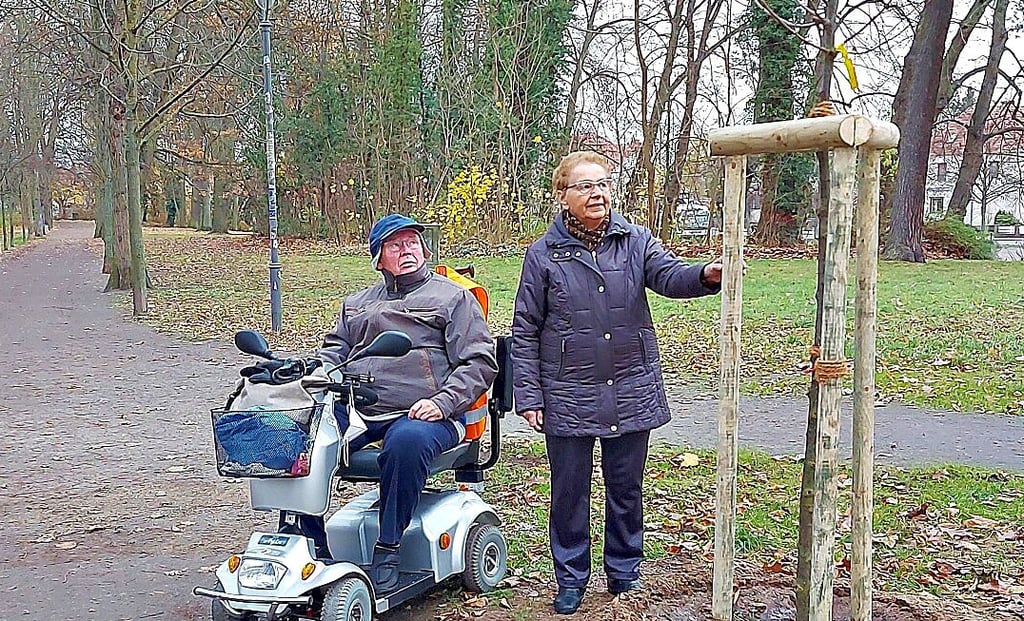 Giesela und Wilhelm Volkmer mit ihrer gespendeten Winterlinde, die nun einen Platz auf dem Wall hat.