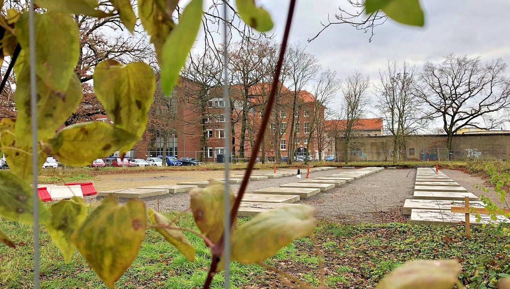 Auf dieser Fläche am Akazienwäldchen sollten seit September Büros und Gerichtssäle des Amtsgerichts stehen.