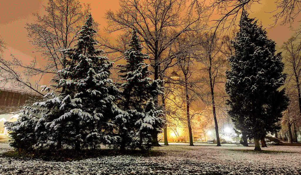 Wünscheswert wäre dieses Bild am Heiligen Abend in Schönebeck allemal: Schnee im Kurpark. Zum Weihnachtsfest gilt dann aber wohl die gleiche Frage wie an der Fleischtheke. „Darf’s etwas mehr sein? Ja!“