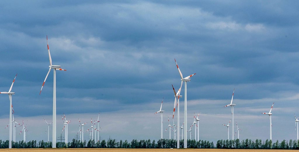 Der Windpark bei Trebitz sorgt für Diskussionen.