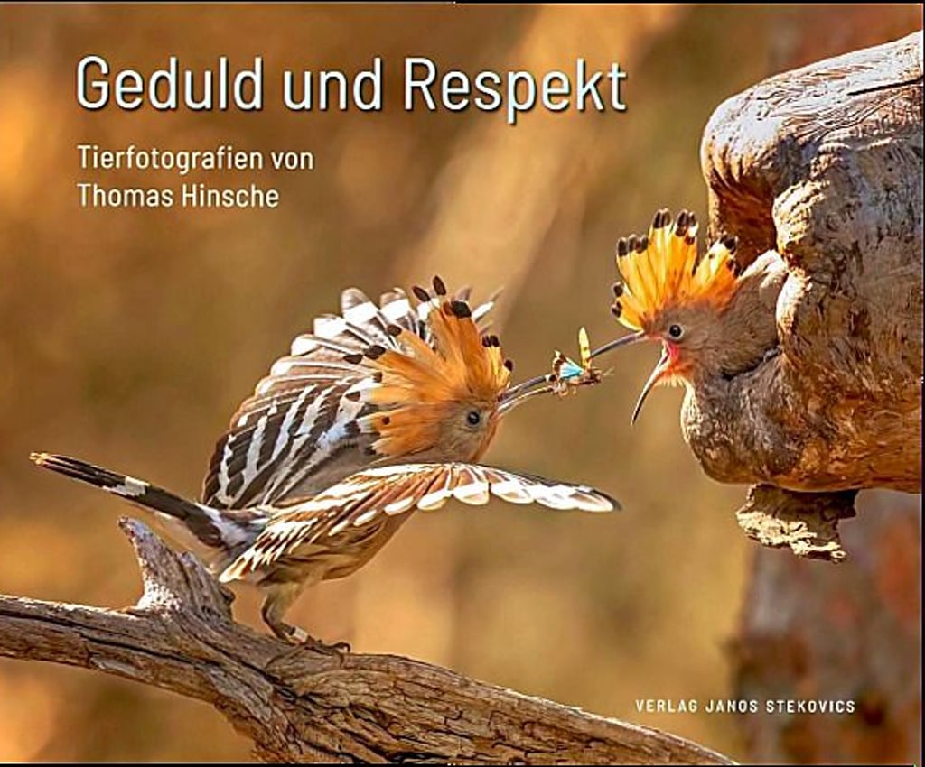 Das Buchcover