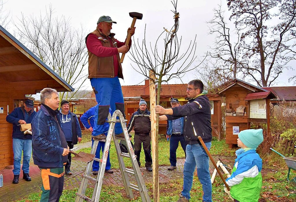 Im Mittelpunkt des Arbeitseinsatzes steht das Pflanzen von zwei Hochstamm-Apfelbäumen als Schattenspender und Bienennahrung.