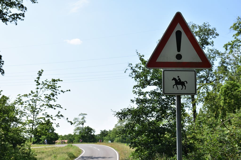 Ein Verkehrsschild an der Straße "An den Rennwiesen" in Magdeburg-Herrenkrug warnt vor kreuzenden Reitern.