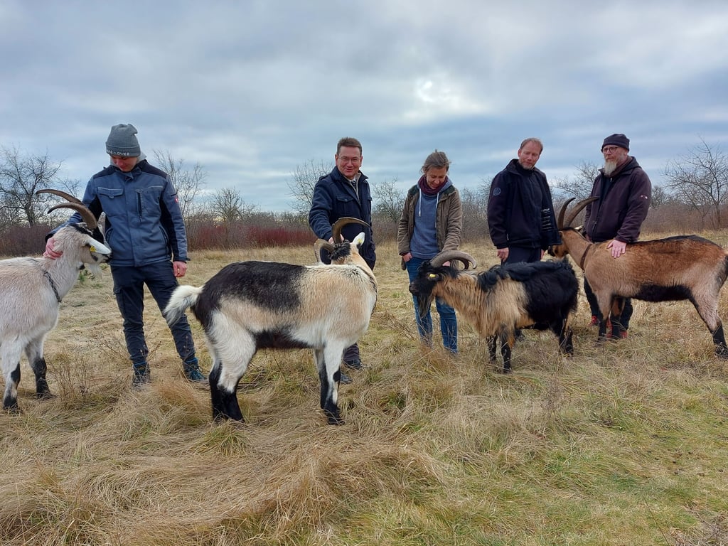Vor-Ort-Termin mit Bürgermeister Udo Mänicke (2.v.l.): Ziegenbesitzer Dirk Rothhämel (v.l.), Matthias Henniger, Toni Wipper sowie Karl Kittler vom Naturpark Saale-Unstrut-Triasland.