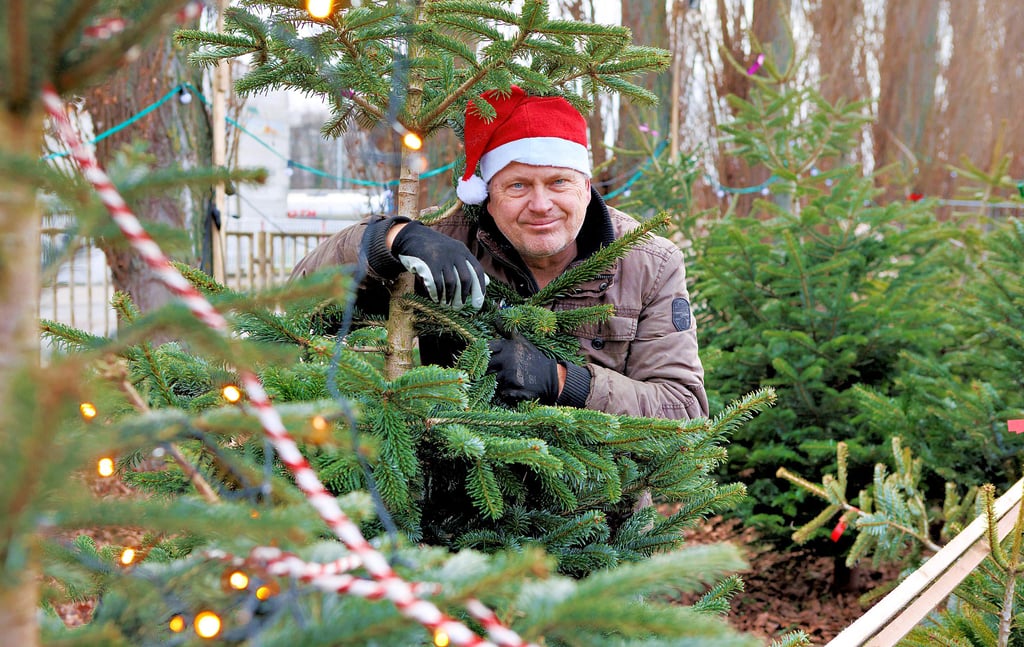Andreas Kehr verkauft Weihnachtsbäume in der Naumburger Straße von Zeitz.