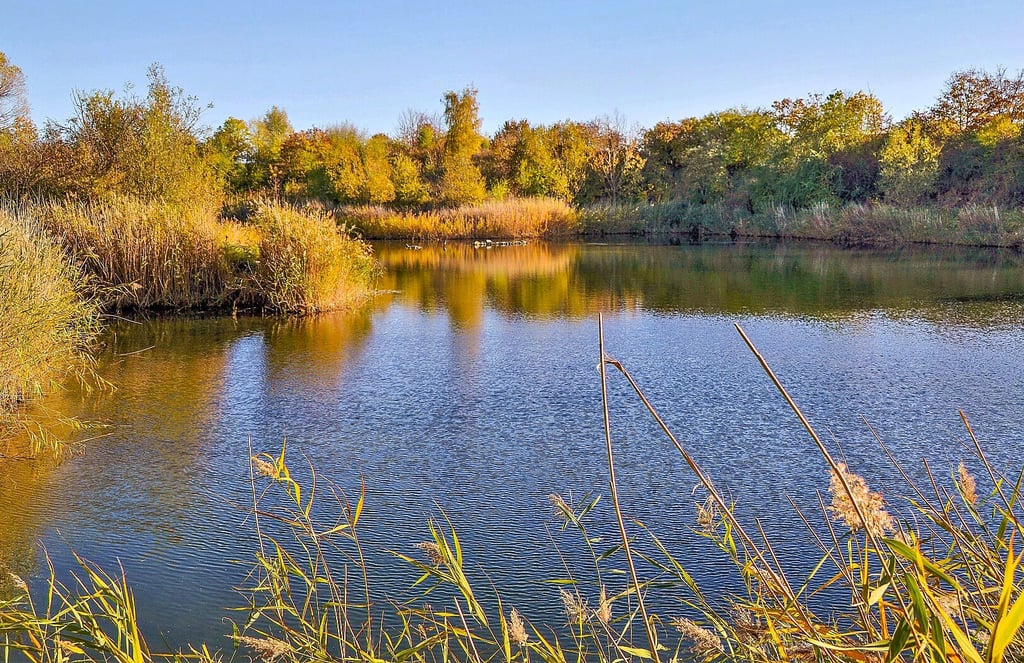 Die Alte Tonkuhle in Wanzleben hat ab dem kommenden Jahr keinen Pächter mehr. Der Vertrag ist vom Anglerverband gekündigt worden.