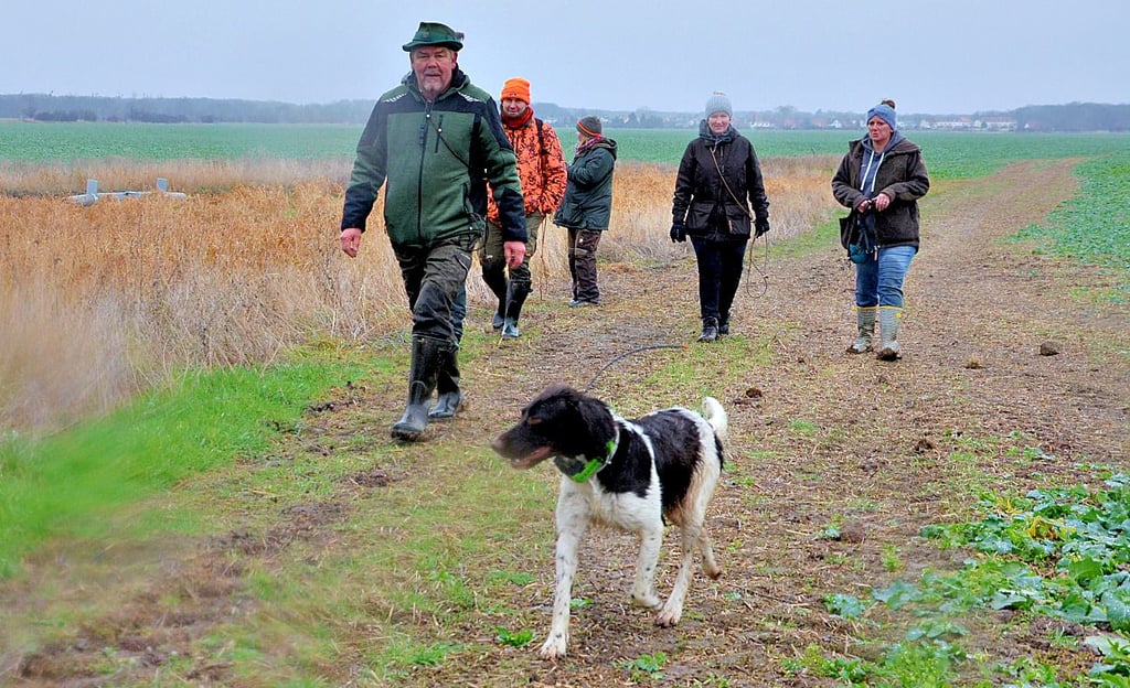 Kälte und Regen hält Hunde und Besitzer nicht davon ab, von Züchter Jens Dedow zu lernen.