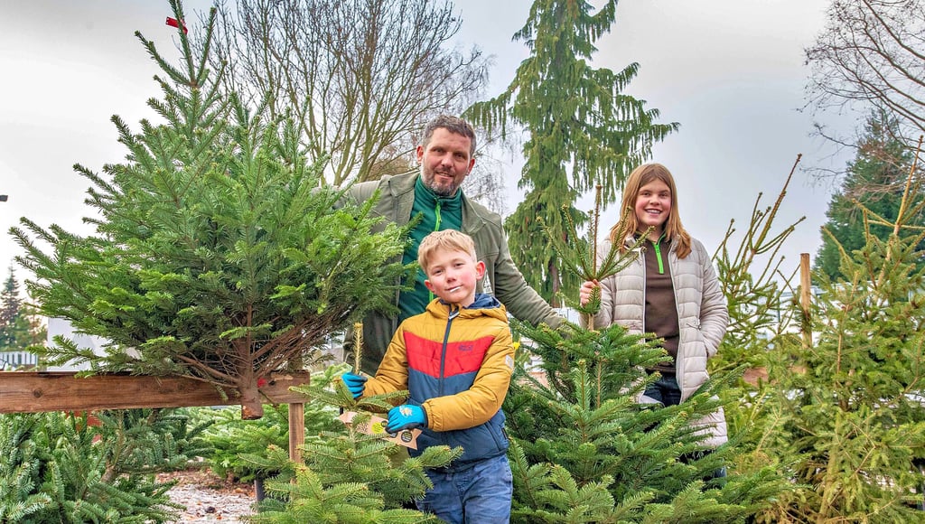 Christian Göricke mit seinen Kindern Oliver und Isabella im Weihnachtsbaumwald der Baumschule in Waldersee.