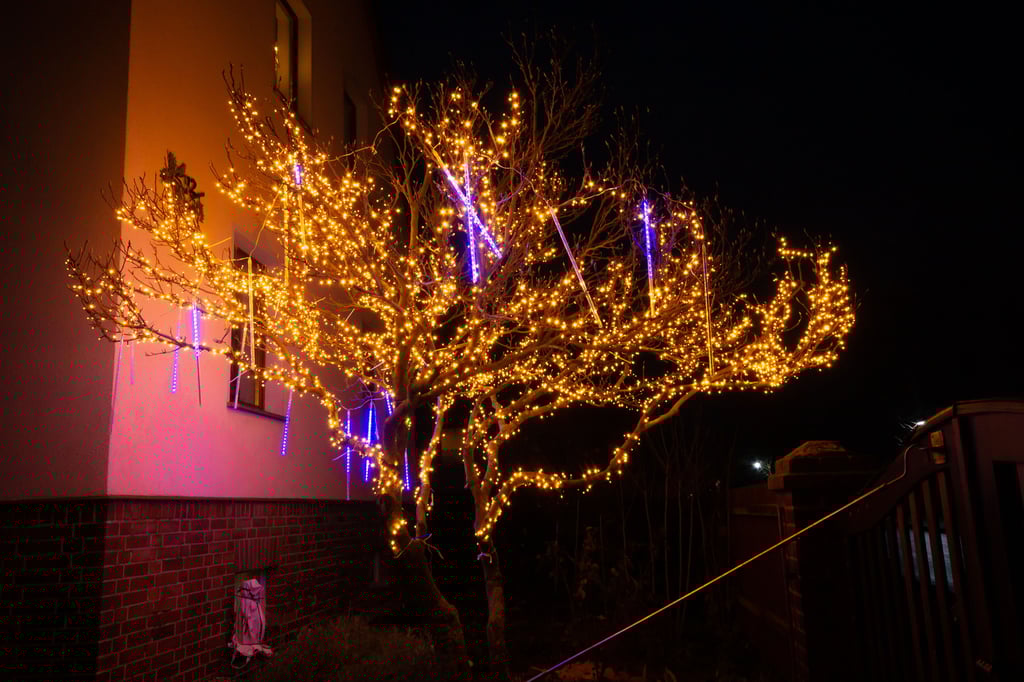 Was für eine Fleißarbeit, diesen Baum in Wetterzeube zu schmücken.