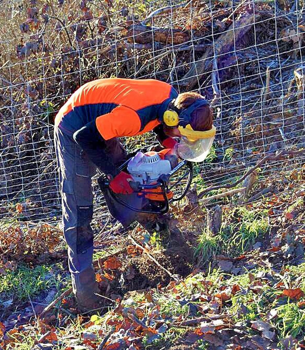 Per Erdbohrer werden die Pflanzlöcher vorbereitet. Da ist Kraft gefragt.