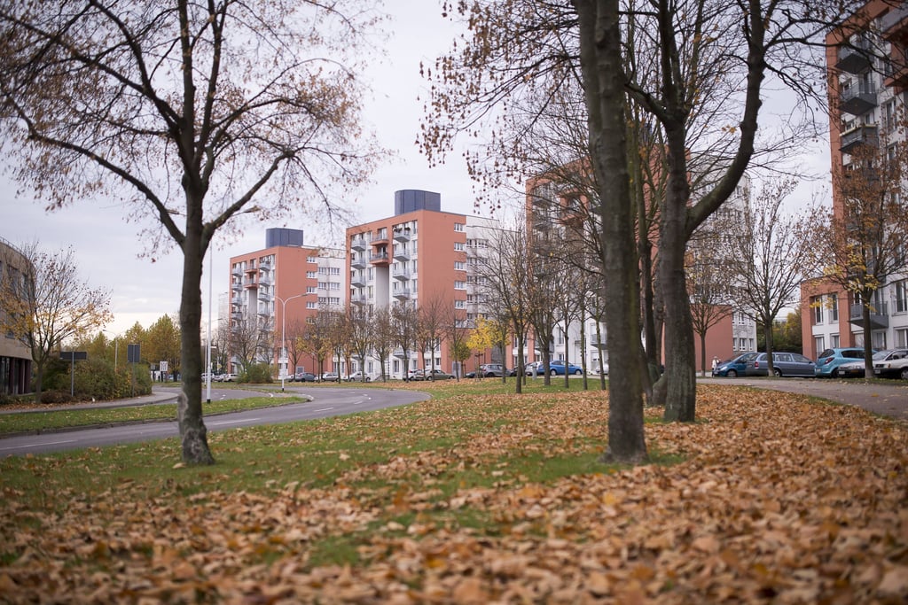 Am heutigen Aussehn von von Halle-Neustadt hat Hinrichs maßgeblich mitgewirkt.