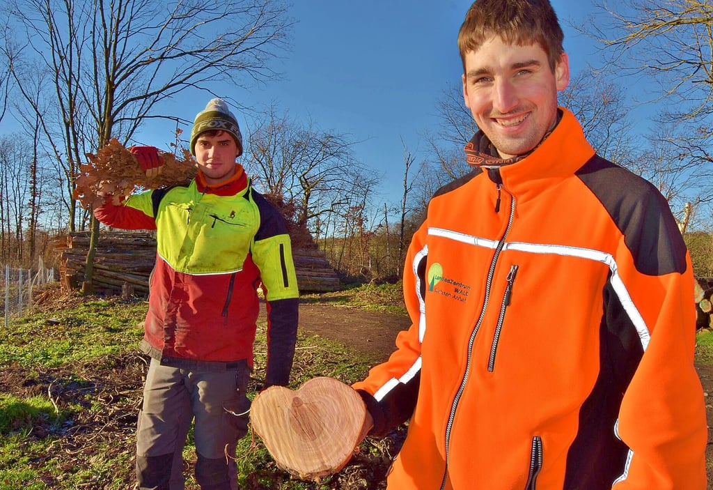 Beteiligt an der Wiederaufforstung in Bad Bibra sind Auszubildende der Forstwirtschaft. Als besonderes Erinnerungsstück sichern sie sich eine Baumscheibe in Herzform. Sie stammt von einem Baum, der gefällt werden musste.
