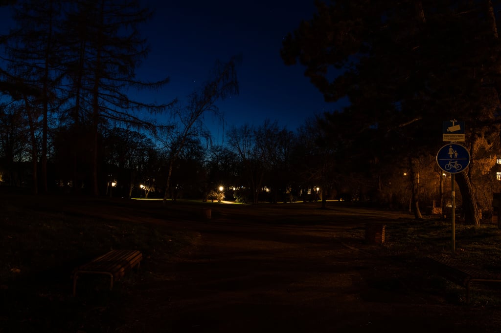 Der Naumburger Stadtpark: Nur der Verbindungsweg zwischen Postring und Poststraße ist beleuchtet.
