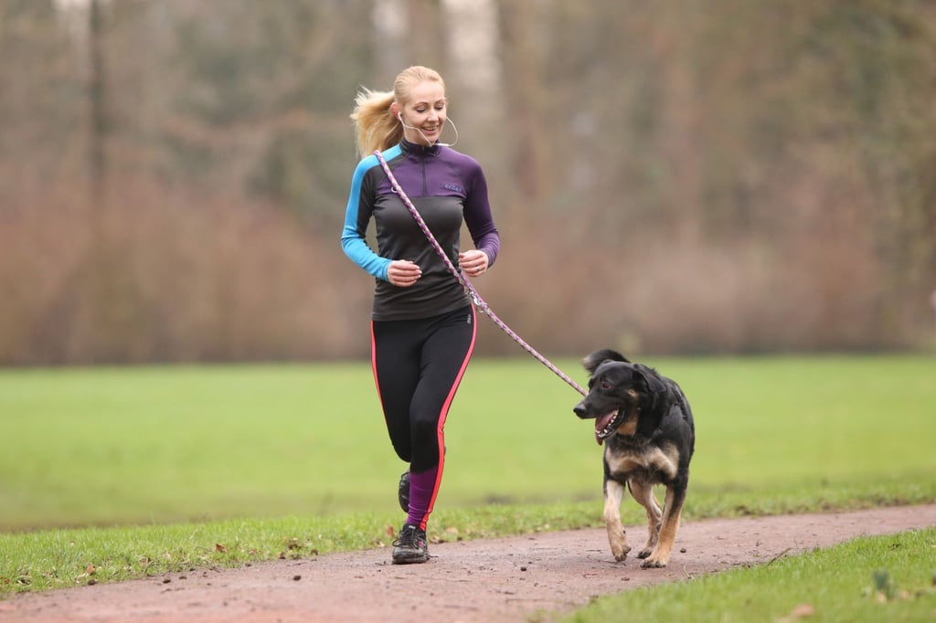 Wer mit etwas Planung an die Sache herangeht, hat an gemeinsamen Joggingrunden mit seinem Hund viel Freude.