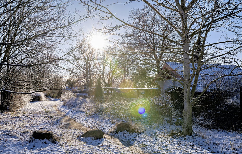 Wenn auch nur ganz dezent, so hatte der Jersleber See ein zartes Wintertage-up aufgelegt.