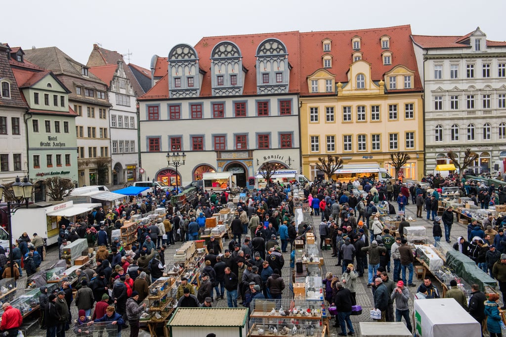 Der Taubenmarkt hat in Naumburg eine lange Tradition. Fortan soll er nur noch zweimal im Jahr stattfinden.