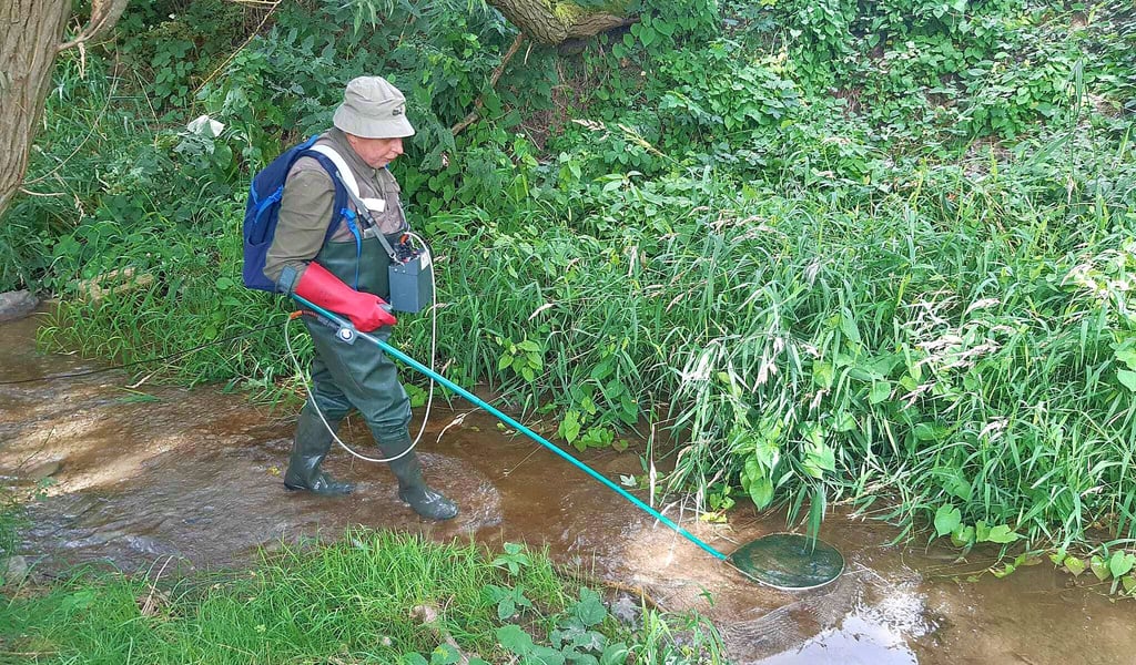 Otfried Wüstemann beim Elektrofischen im Biosphärenreservat Karstlandschaft Südharz, hierzu ist jedes Mal eine Genehmigung der Oberen Fischereibehörde nötig. Auf diese Weise werden Fischbestände erfasst und kontrolliert.