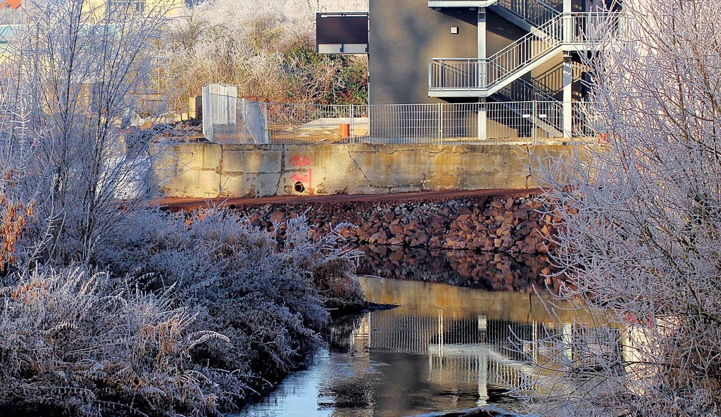 Die IG Bode-Lachs vermutet, dass beim Bau dieser Arbeitstrasse Flussbett beschädigt wurde, in dem geschützte Fischarten lebten.