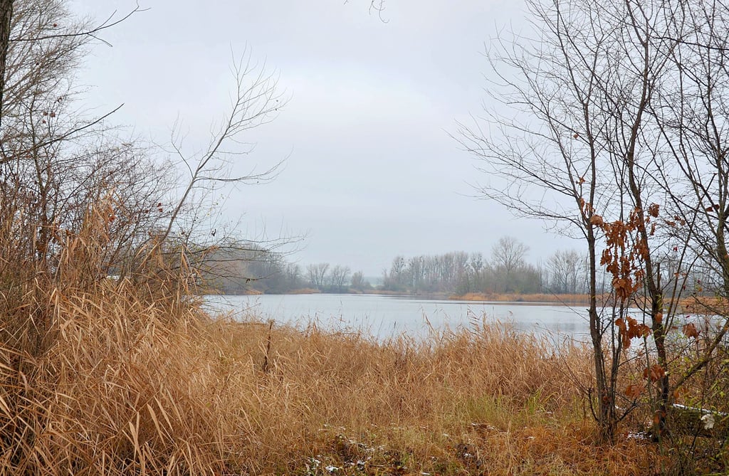 Der Karlssee ist ein lang gestreckter See zwischen Glöthe, Förderstedt und Üllnitz. Er ist im Besitz des Landwirts Marco Kunze aus Förderstedt. Er darf dort Wasser entnehmen.