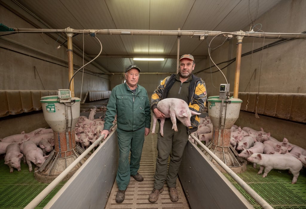 Karl (l) und Marco Weber stehen in einem ihrer Ställe in Lissendorf.