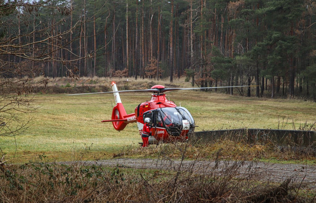 Im Landkreis Wittenberg sind drei Waldarbeiter schwer verletzt worden. Ein Rettungshubschrauber musste anrücken.
