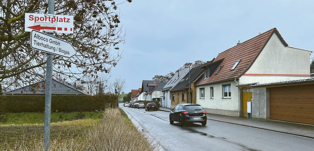 Die Wilhelm-Bieser-Straße in Hecklingen ließ die Stadtverwaltung reparieren, weil die Fahrbahn gravierende Schäden aufwies und das gefahrlose Benutzen der Straße nach Einschätuzung der Verwaltung kaum noch möglich war. An den Kosten beteiligte sich die Alboco GmbH.
