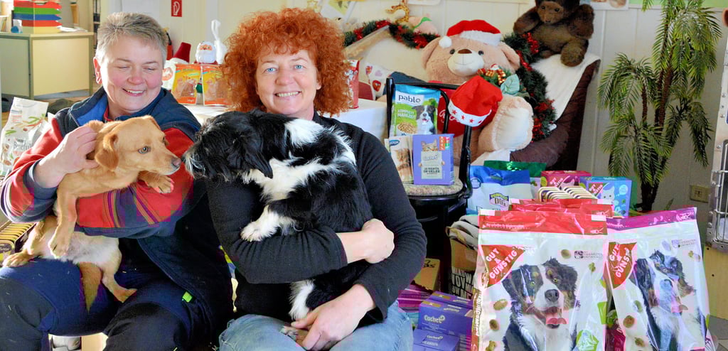 Birgit Sorge (links) und Dagmar Fichtner vom Tierheim in Derenburg freuen sich über viele Geld-, Futter- und Sachspenden für ihre vierbeinigen Schützlinge - wie die Dackel-Terrier-Mischlinge Tina (links) und Tobi.