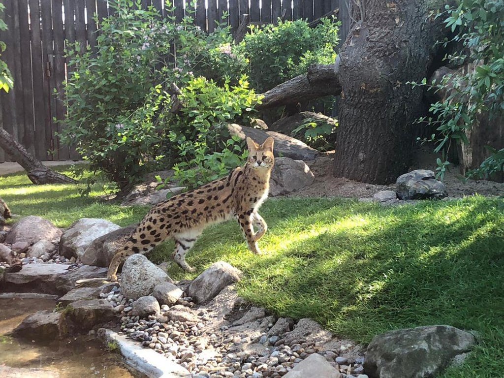 Der Magdeburger Zoo im Frühlingserwachen|