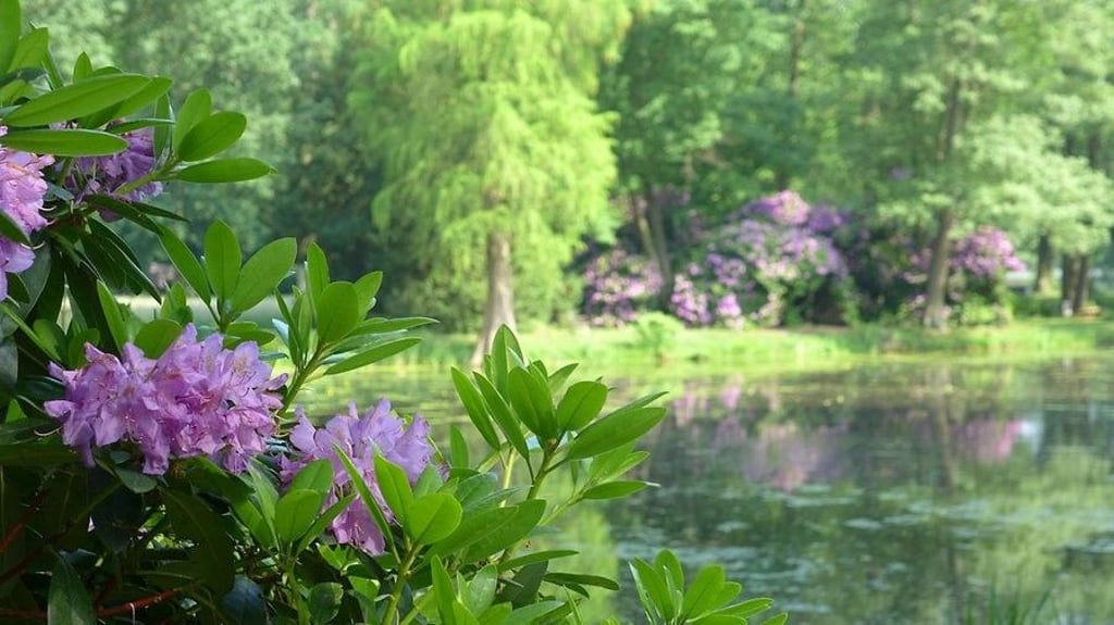 Schlosspark Krumke