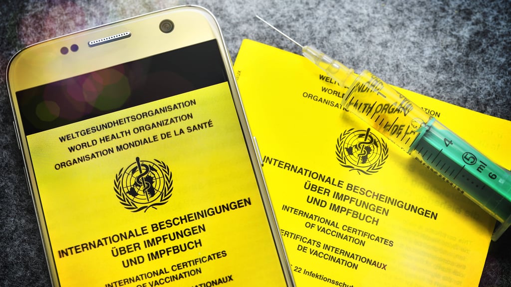 Die Menschen in Deutschland sollen noch vor den Sommerferien in die Lage versetzt werden, einen vollständigen Impfschutz unkompliziert durch eine Smartphone-App nachzuweisen (Symbolbild).