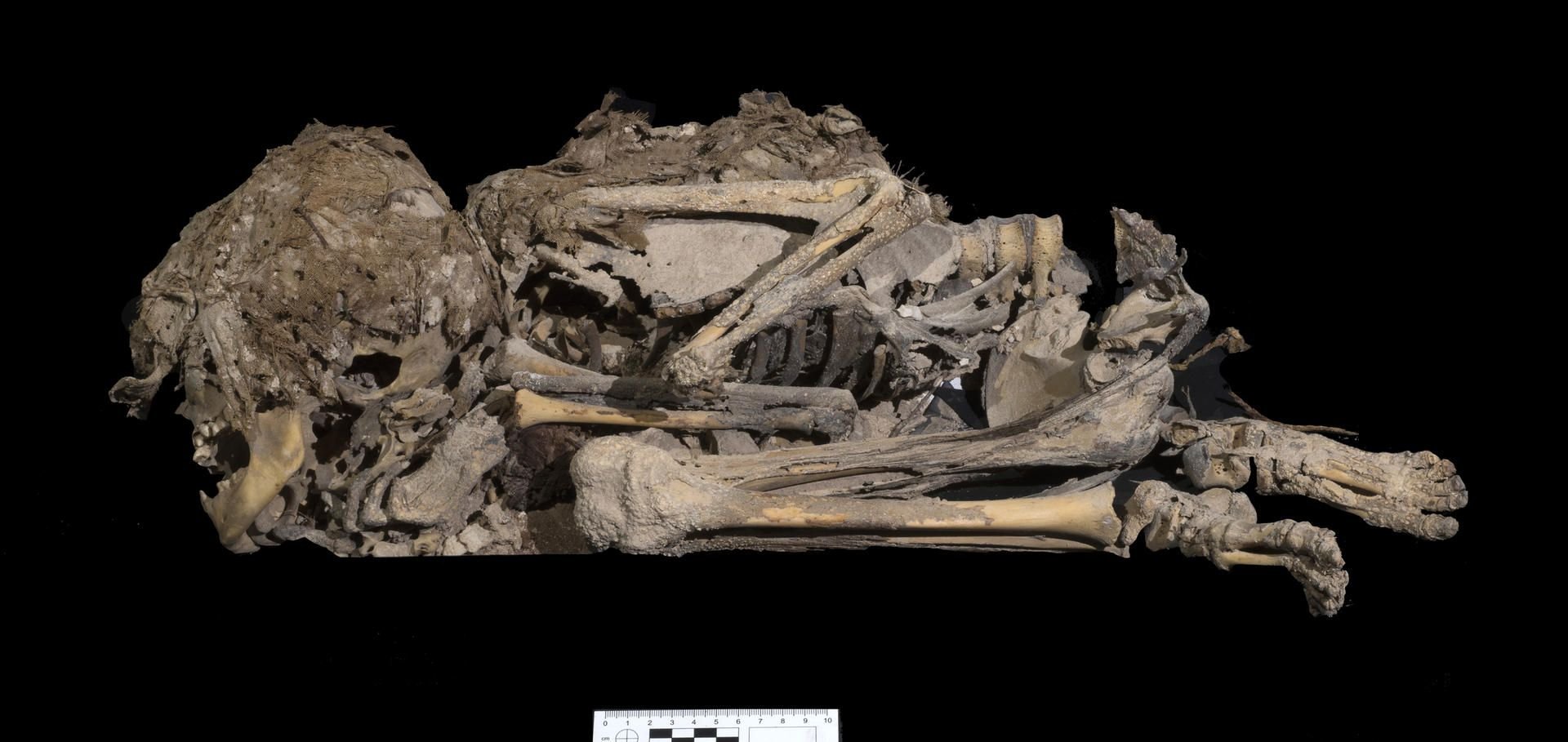 Ein 6.000 Jahre altes Skelett eines Mädchens oder eines Jungen, das in Stoff eingewickelt begraben worden war und bei Ausgrabungen in einer Höhle in der Nähe des Toten Meeres entdeckt wurde.