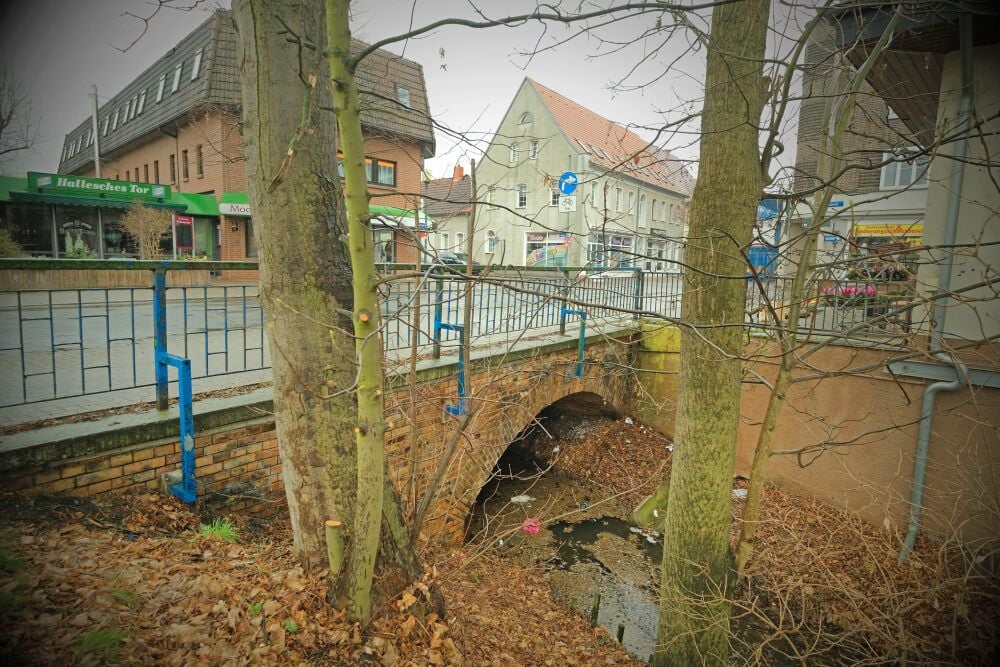 Desolate Loberbrücke
