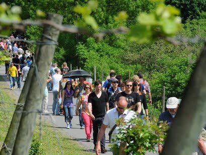 Auch in diesem Jahr lädt die Weinmeile zum Besuch ein.