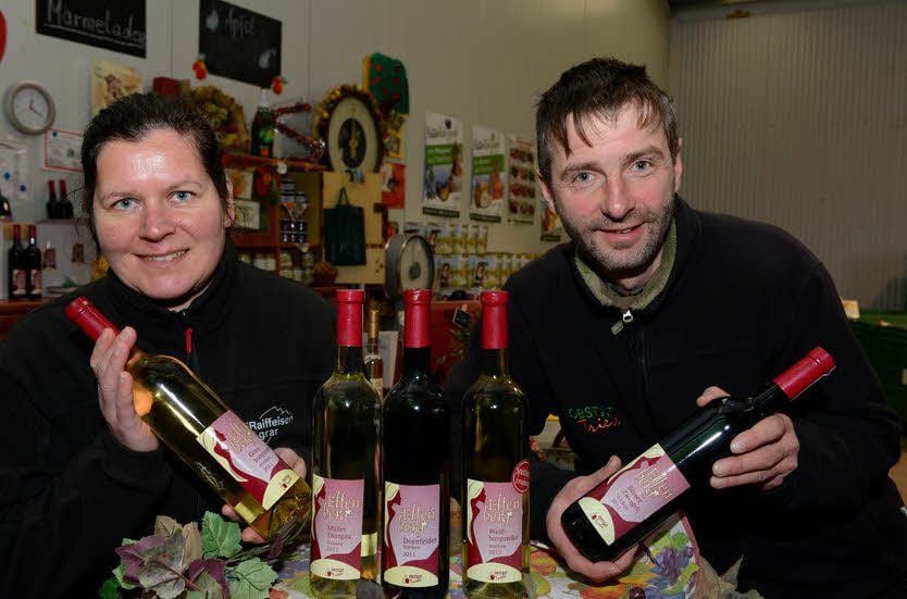 Rebzeilen auf dem Wöllmisse bei Schöngleina in Thüringen - Lars und Elfi Triebe bewirtschaften sie.