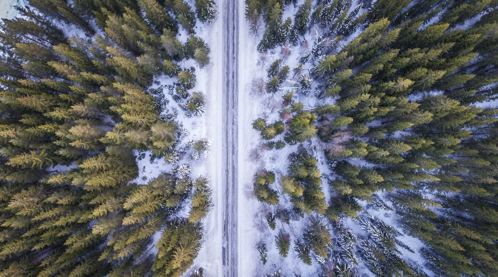 Die Mutter setzte ihre drei Kinder nackt im Wald aus - bei minus 15 Grad. (Symbolfoto)