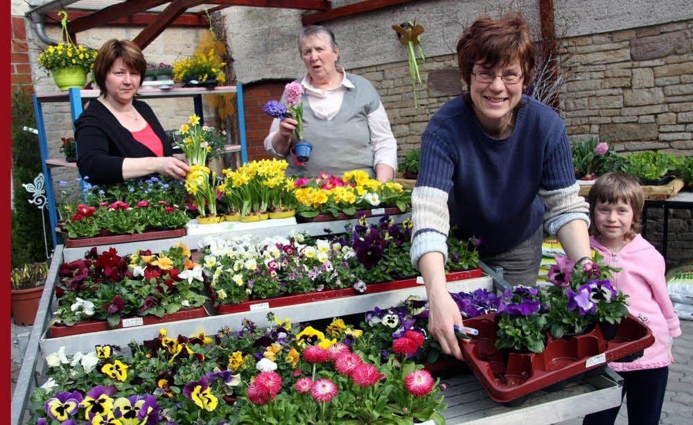 Blumenverkauf bei Susan Fiedler.